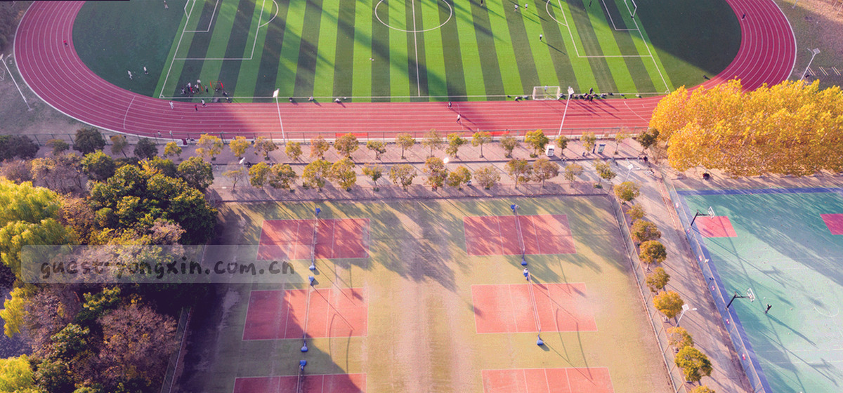 一排带有月份标记的档案册脊部特写